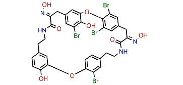 Bastadin 13